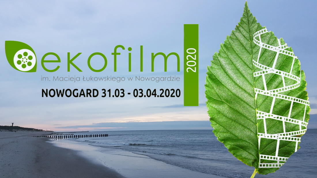EKOFILM 2020 | PRESELEKCJA FILMÓW ZAKOŃCZONA