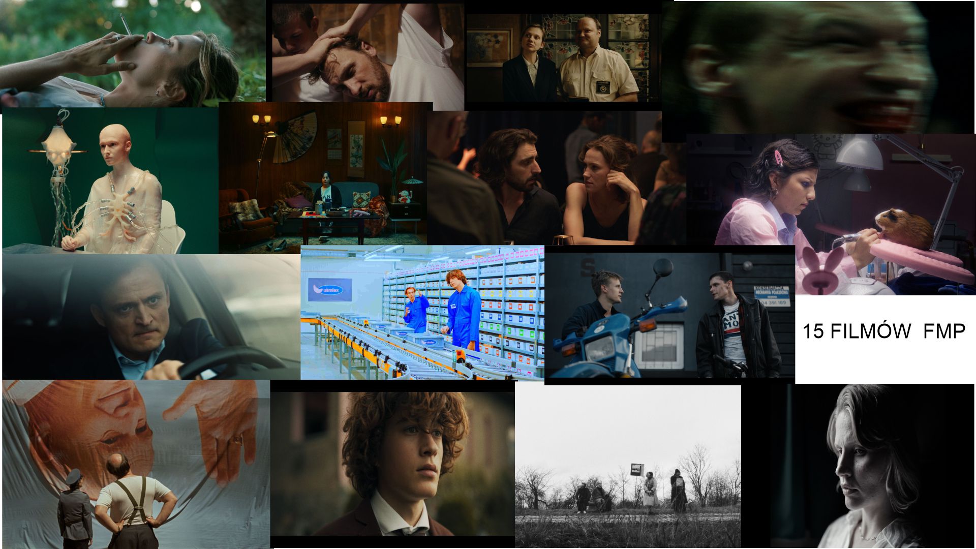 LzM | 15 filmów w 11. Konkursie Filmowa Młoda Polska w Nowogardzie